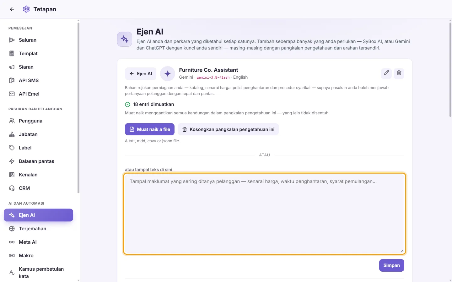 An agent's page: the "Or paste the text" box for its knowledge base