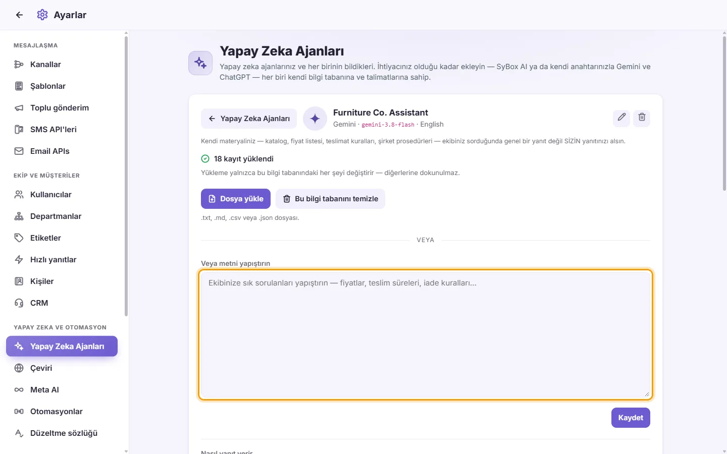 An agent's page: the "Or paste the text" box for its knowledge base